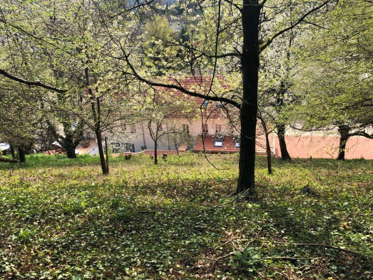 Apartmán Trasse Belge Trassem Exteriér fotografie